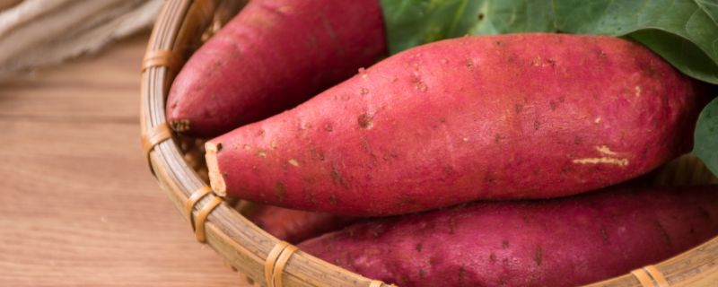 孕妇梦见红薯是什么意思 梦见红薯预兆什么